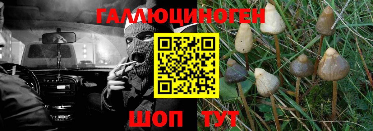 Псилоцибиновые грибы GOLDEN TEACHER  Вход с VPN  Псилоцибиновые грибы мухоморы  Сызрань 